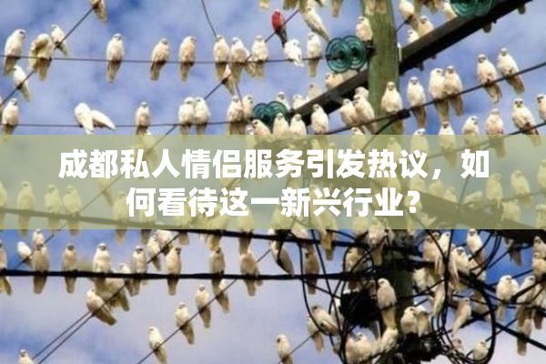 成都私人情侣服务引发热议，如何看待这一新兴行业？