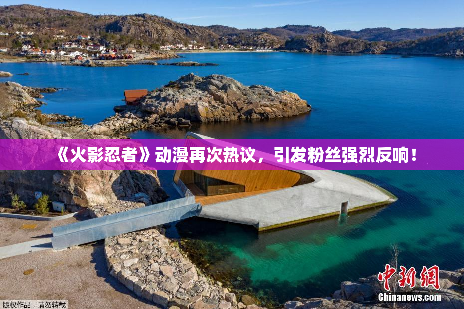 《火影忍者》动漫再次热议，引发粉丝强烈反响！