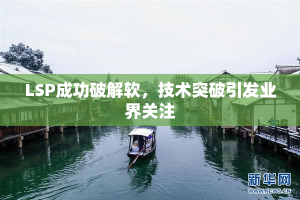 LSP成功破解软，技术突破引发业界关注
