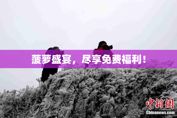 菠萝盛宴，尽享免费福利！