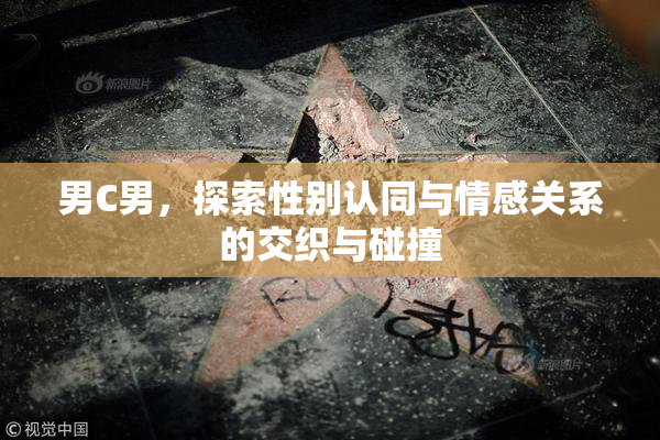 男C男，探索性别认同与情感关系的交织与碰撞