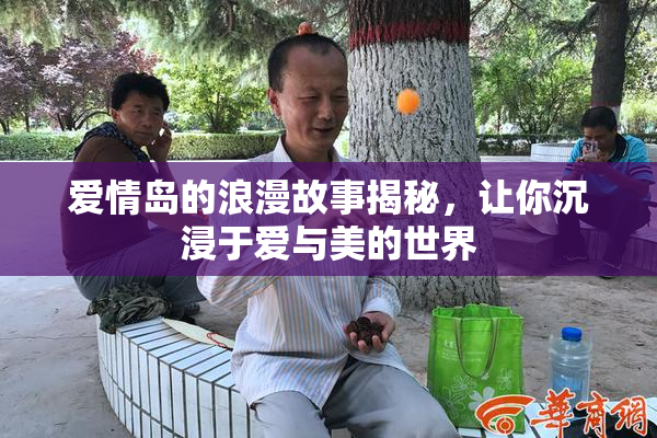爱情岛的浪漫故事揭秘，让你沉浸于爱与美的世界