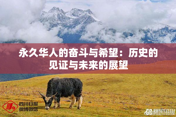 永久华人的奋斗与希望：历史的见证与未来的展望