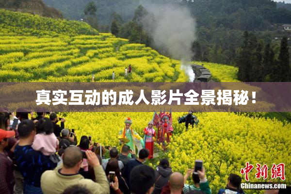 真实互动的成人影片全景揭秘！