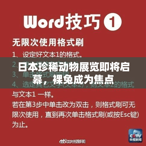 日本珍稀动物展览即将启幕，裸兔成为焦点