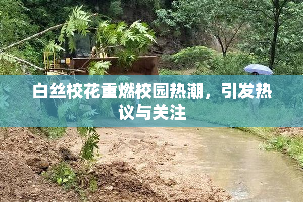 白丝校花重燃校园热潮，引发热议与关注