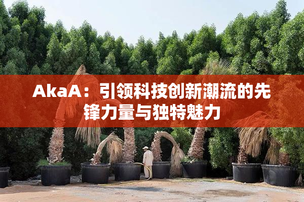 AkaA：引领科技创新潮流的先锋力量与独特魅力