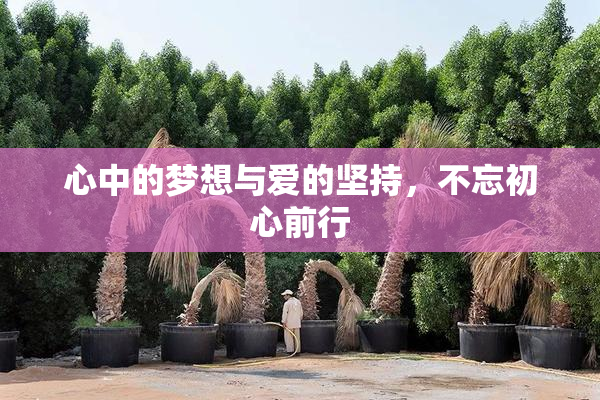 心中的梦想与爱的坚持，不忘初心前行