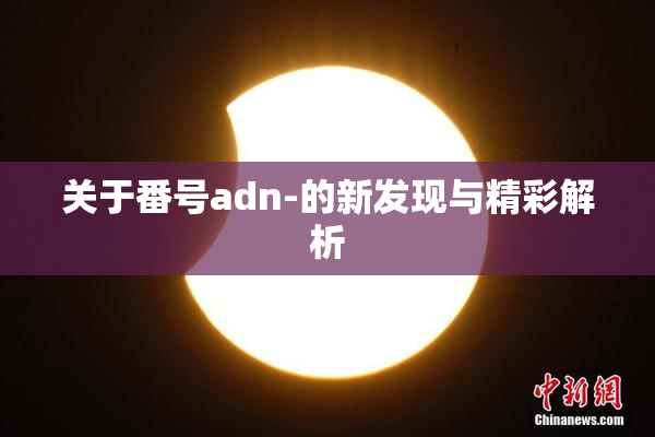 关于番号adn-的新发现与精彩解析