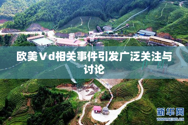 欧美Ⅴd相关事件引发广泛关注与讨论