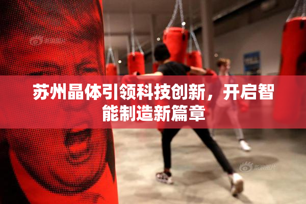 苏州晶体引领科技创新，开启智能制造新篇章