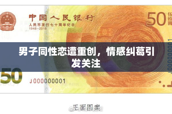 男子同性恋遭重创，情感纠葛引发关注
