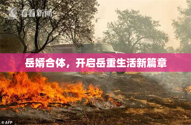 岳婿合体，开启岳重生活新篇章