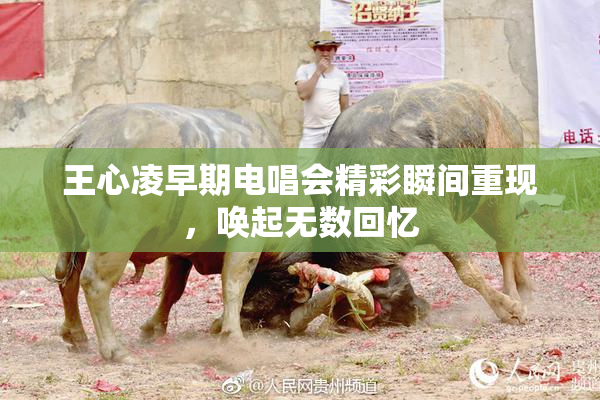 王心凌早期电唱会精彩瞬间重现，唤起无数回忆