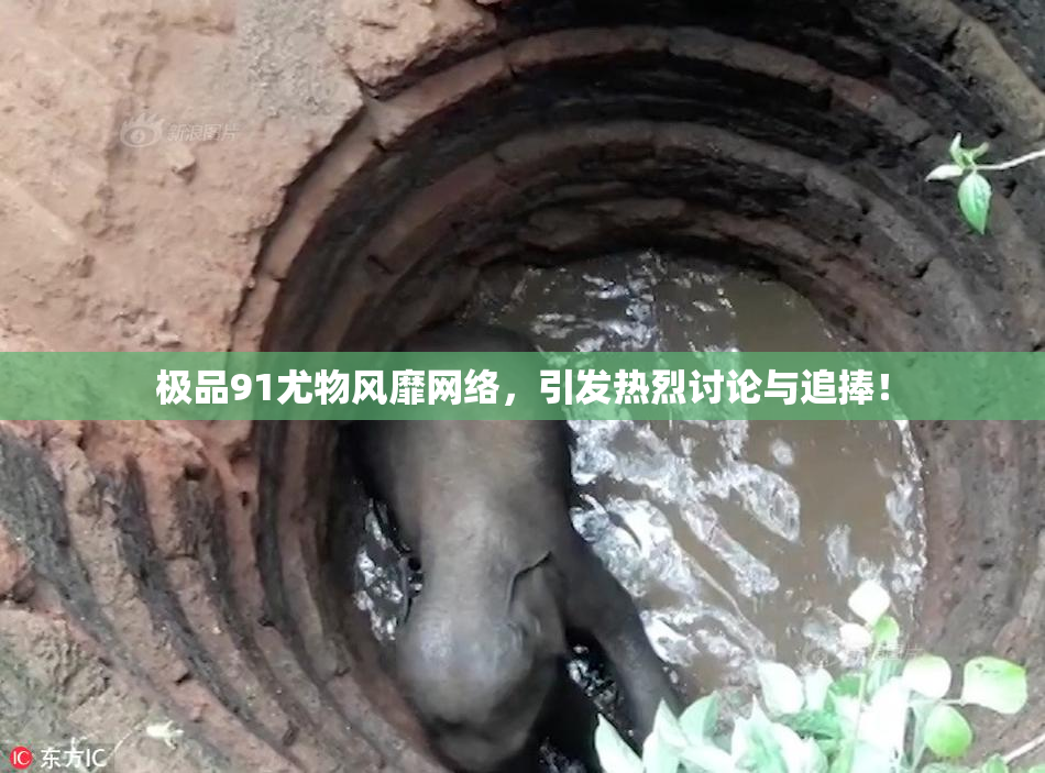 极品91尤物风靡网络，引发热烈讨论与追捧！