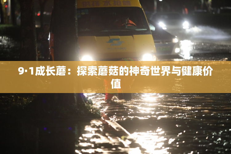 9·1成长蘑：探索蘑菇的神奇世界与健康价值