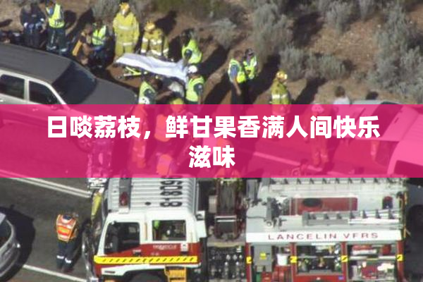 日啖荔枝，鲜甘果香满人间快乐滋味