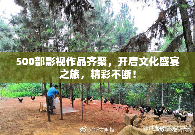 500部影视作品齐聚，开启文化盛宴之旅，精彩不断！