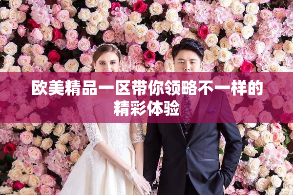 欧美精品一区带你领略不一样的精彩体验