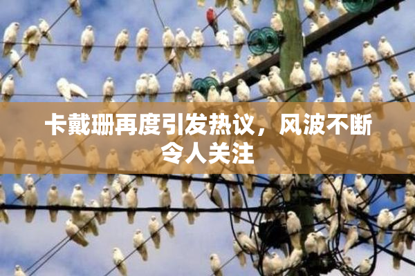 卡戴珊再度引发热议，风波不断令人关注