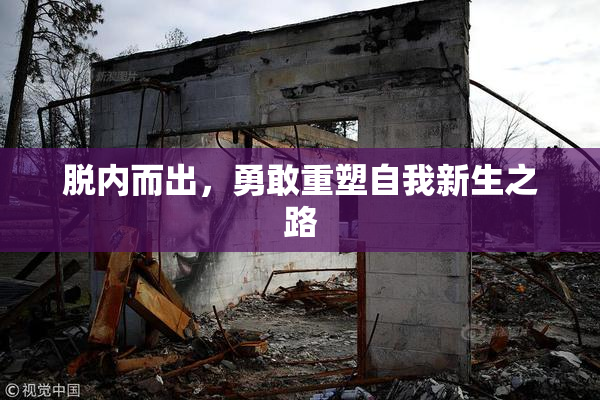 脱内而出，勇敢重塑自我新生之路