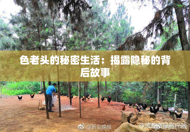 色老头的秘密生活：揭露隐秘的背后故事