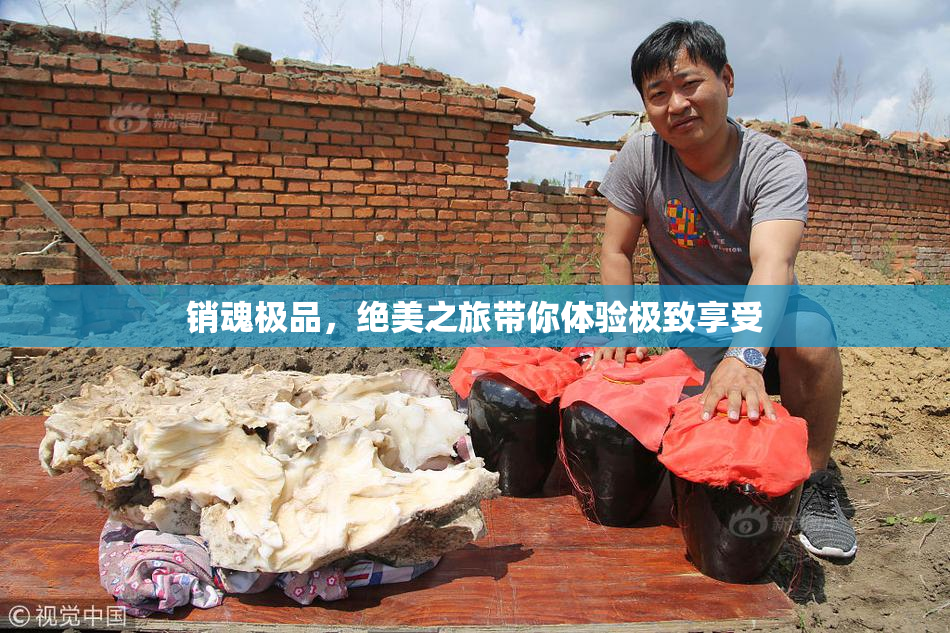销魂极品，绝美之旅带你体验极致享受