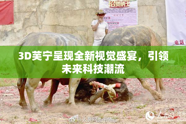 3D芙宁呈现全新视觉盛宴，引领未来科技潮流