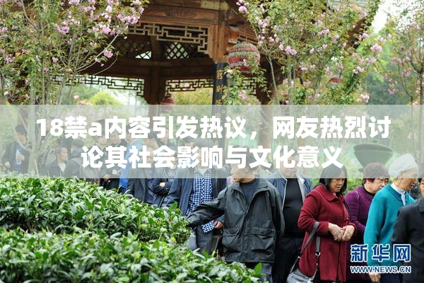 18禁a内容引发热议，网友热烈讨论其社会影响与文化意义