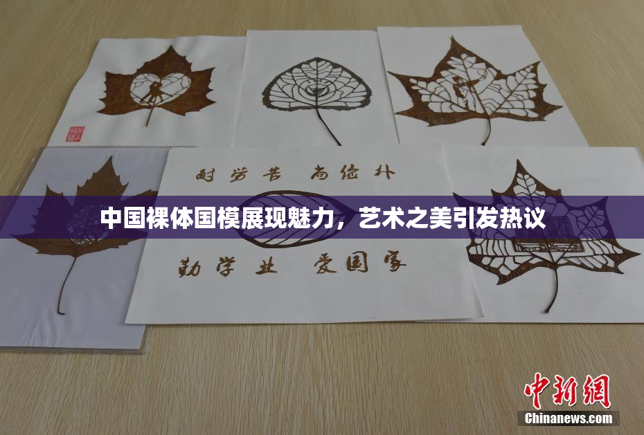 中国裸体国模展现魅力，艺术之美引发热议