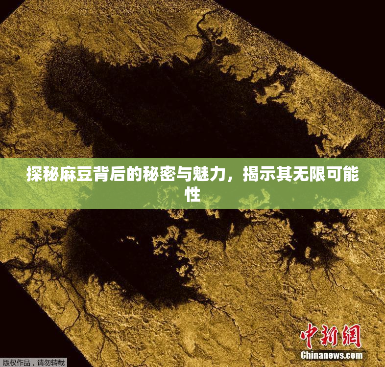 探秘麻豆背后的秘密与魅力，揭示其无限可能性