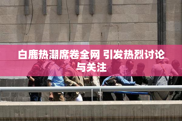 白鹿热潮席卷全网 引发热烈讨论与关注