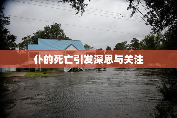仆的死亡引发深思与关注