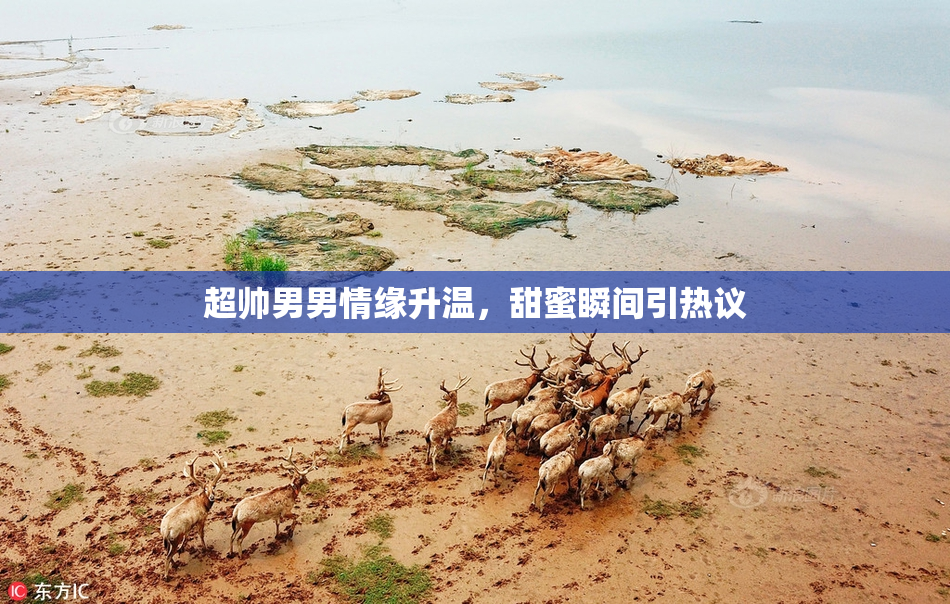 超帅男男情缘升温，甜蜜瞬间引热议