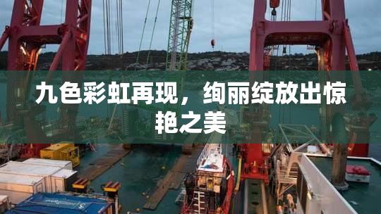 九色彩虹再现，绚丽绽放出惊艳之美