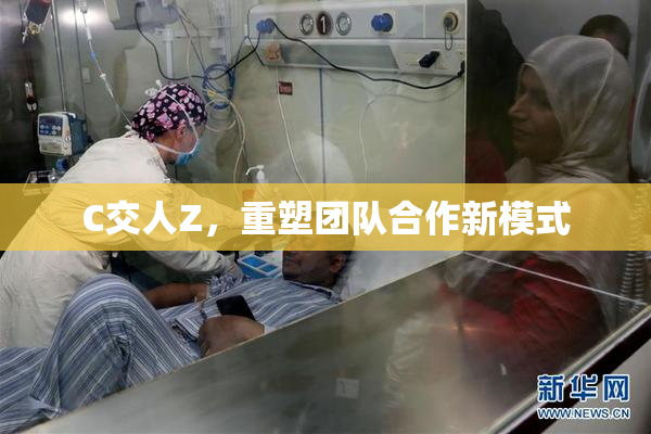 C交人Z，重塑团队合作新模式
