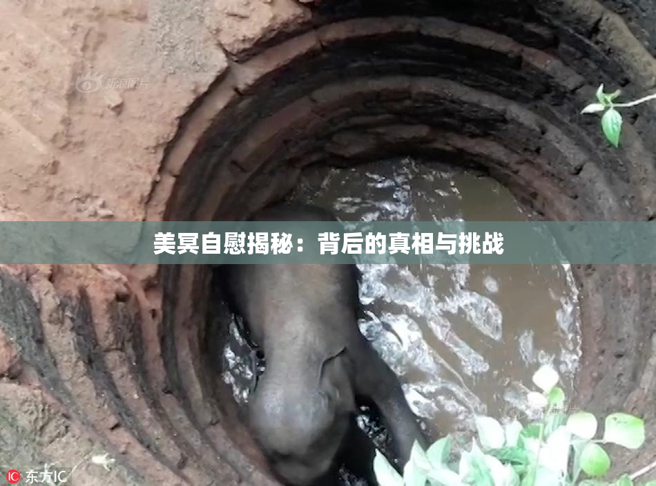 美冥自慰揭秘：背后的真相与挑战