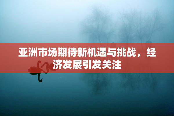 亚洲市场期待新机遇与挑战，经济发展引发关注