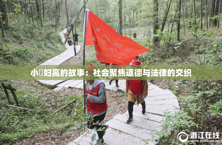 小婬妇高的故事：社会聚焦道德与法律的交织