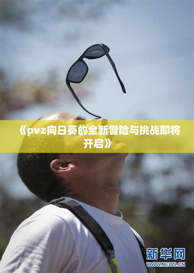 《pvz向日葵的全新冒险与挑战即将开启》