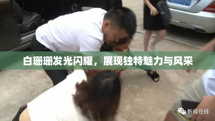 白珊珊发光闪耀，展现独特魅力与风采