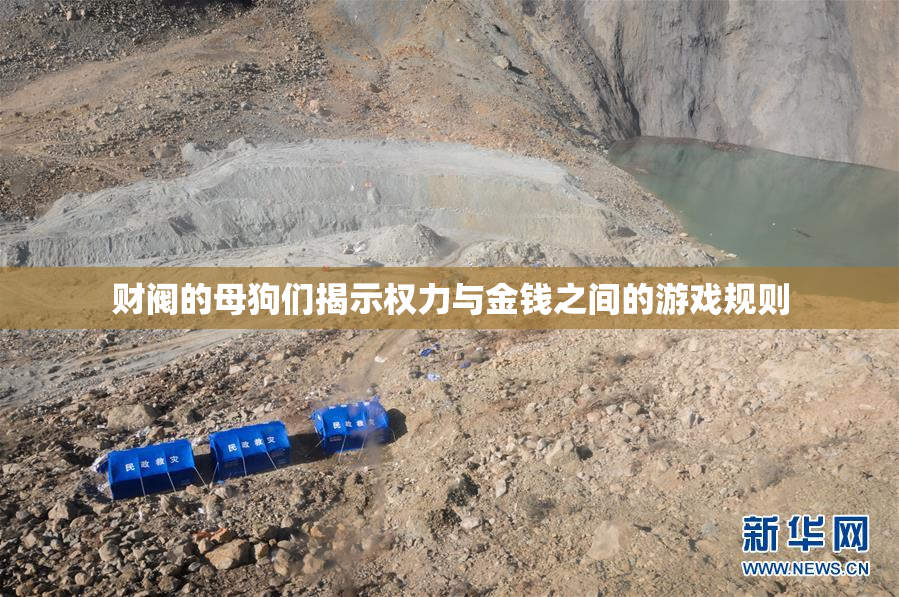 财阀的母狗们揭示权力与金钱之间的游戏规则