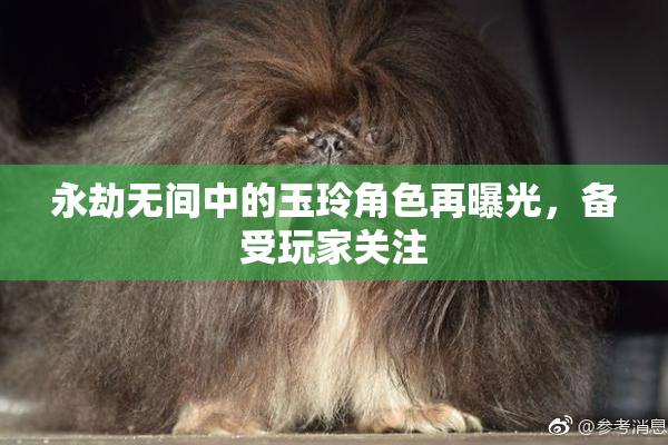 永劫无间中的玉玲角色再曝光，备受玩家关注