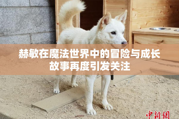 赫敏在魔法世界中的冒险与成长故事再度引发关注