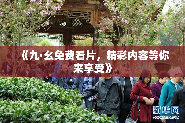 《九·幺免费看片，精彩内容等你来享受》