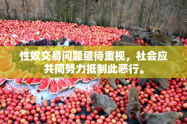 性奴交易问题亟待重视，社会应共同努力抵制此恶行。