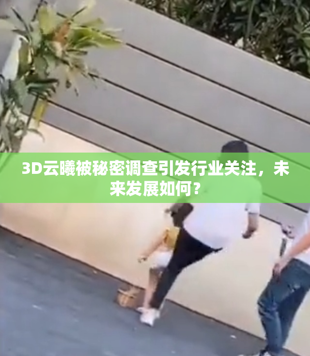 3D云曦被秘密调查引发行业关注，未来发展如何？