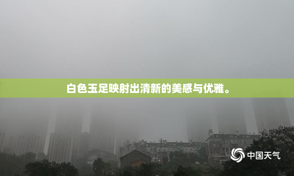 白色玉足映射出清新的美感与优雅。