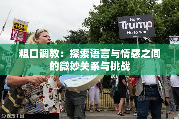 粗口调教：探索语言与情感之间的微妙关系与挑战