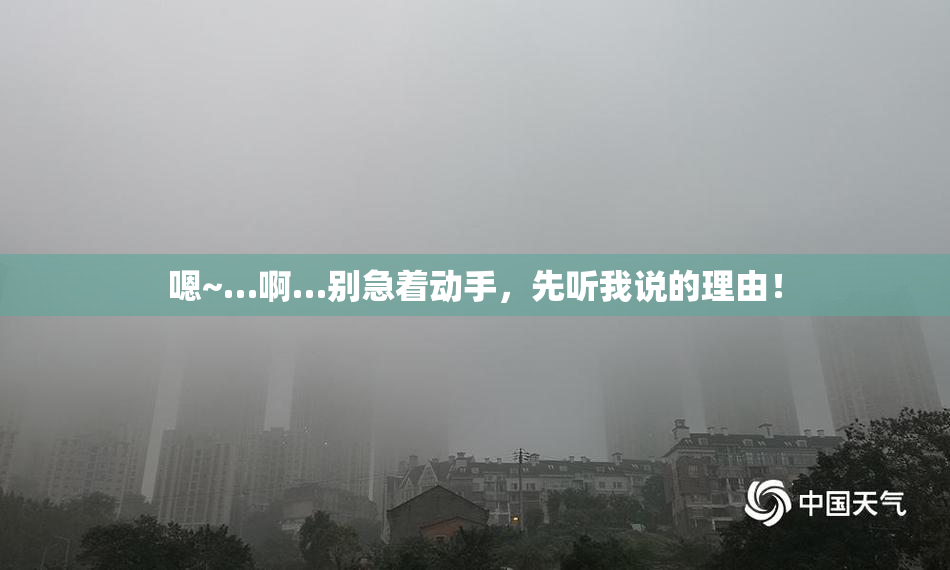 嗯~…啊…别急着动手，先听我说的理由！